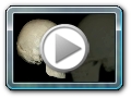 Dr. Pauline Garrett worked with Doug Brotherton to create an educational video to show the lateral view of the bones of the skull utilizing an art based production concept.